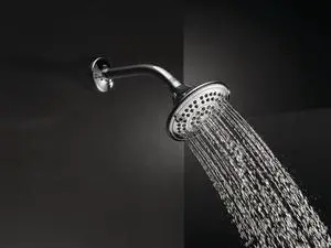 DELTA RP78575, Chrome