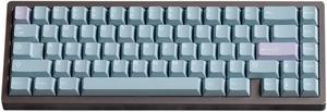 Gliging 253 Keys Double Shot Keycaps Model Dolch Cherry Profile ANSI Layout Fit for 61/64/84/87 Cherry MX Switch Mechanical Keyboard (Mirage)