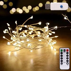 100 LED Cluster Fairy Light,Copper Firecrackers String Garland,8.2ft USB Interface,Waterproof,Christmas Holiday Decoration,Indoor/Outdoor Bedroom,Garden,Yard,Patio,Wedding (Silver Wire,Warm White) CA