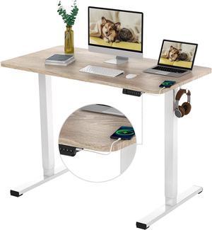 FLEXISPOT Standing Desk Quick Assembly Electric Adjustable with 48 x 24 Inches Whole-Piece Desktop Ergonomic Memory Controller Stand Up Desk(White Frame + 48" Grey Wood Grain)