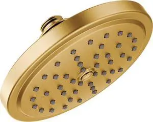Moen S176BG Collection 7-Inch Single Function Shower Head with Immersion Rainshower Technology, Brushed Gold