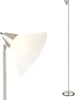 HonoDing Floor Lamp Standing Lamp Adjustable Head Arcylic Shade Floor Lamps for Living Room/Office/Bedroom (Satin Nickel)
