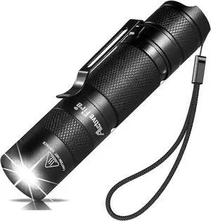 Mini AA Pen Pocket Torch, Super Bright Lumen Waterproof Keychain LED Torch, Handheld Torch with Clip, Powered by AA or 14500 Batteries,LED Torch for Night Reading or Daily Lighting