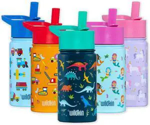 Wildkin Kids 14 oz Reusable BPA-Free Stainless Steel Water Bottle with Leak Proof Lid for Boys & Girls, Insulated, Durable, and Easy to Clean Water Bottles for Toddlers - Jurassic Dinosaurs