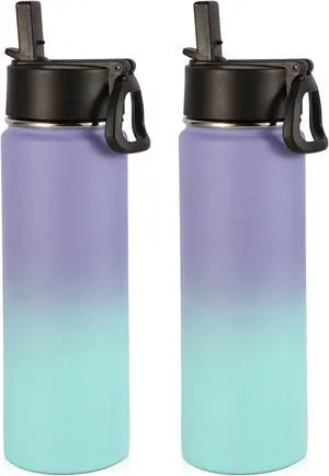 Volhoply Insulated Water Bottles with Straw Bulk 2 Pack, 22 oz Stainless Steel Sports Bottle with Handle Lid,Double Wall Vacuum Metal Travel Water Thermos with Wide Mouth for Hiking(Purple Blue,2 Set)