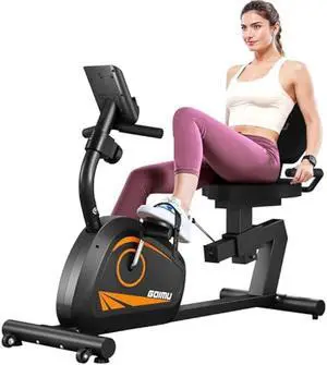 Recumbent Exercise Bike, Stationary Bikes for Home Magnetic Recumbent Bike with Adjust Seat for Adults Seniors, 300LB Capacity & 8-level Resistance, LCD Monitor and Heart Rate Handle