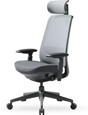 COLAMY Ergonomic Office Chair, High Back Computer Executive Desk Chair with Lumbar Support, Adjustable Headrest and 4D Arms, Slide Seat-BlackGrey