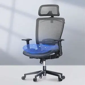 FLEXISPOT Ergonomic Home Office Chair, High Back Mesh Computer Chair, Comfy Desk Chairs with Lumbar Support Tilt Function 3D Headrest 2D Armrest, Heavy Duty Executive OC3 Mesh Gray