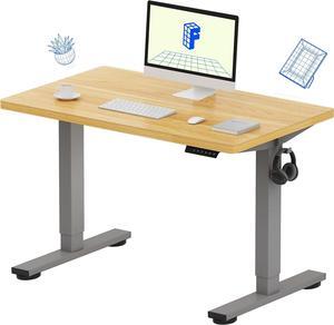 FLEXISPOT EN1 One-Piece Adjustable Desk 40 x 24 Inches Stand Up Desk Electric Height Adjustable Standing Desk with Seamless Desktop (Silver Frame + 40 inches Natural Top, 2 Packages)