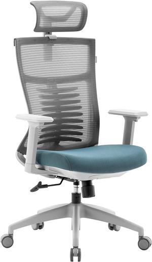 Raidmax Ergonomic Mesh Office Chair, High Back Desk Chair - Adjustable Headrest with 3D Adjustable Armrest, Tilt Function, Lumbar Support and PU Wheels, Swivel Computer Task Chair (Gray)