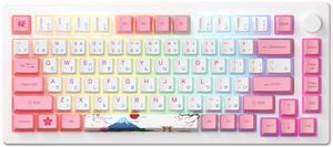 Akko Magnetic Switches Rapid Trigger Gaming Keyboard, MOD007B HE PC World Tour Tokyo Wired/Wireless 75% 8k Polling Rate Mechanical Keyboard with Knob, RGB Backlit (Akko Creamy Yellow Magnetic Switch)