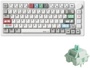 M1 V5 VIA Aluminum Mechanical Keyboard 75% Quick Release Gaming Recycling Theme Keyboard with Knob 8000 mAh RGB Hot-swappable Pre-lubed Botany Switch