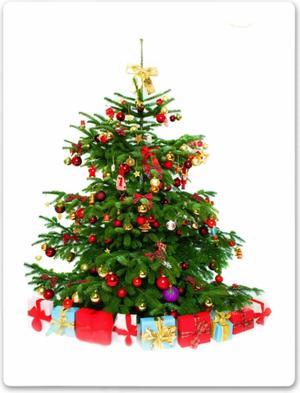 Anyhouz Tapestry Christmas Tree With Red Ornaments Bohemian Art Wall Home Decoration