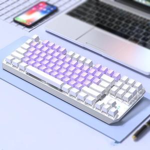 FANTECH TK870 Wired Mechanical Keyboard, Interchangeable Shafts, White Light, Compatible with Multiple Systems, Ergonomic, All-key Punch-free, 87 Keys, Purple White