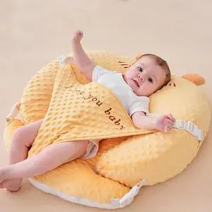 Reflux Pillow for Baby Design Dual-use Feature, Baby Feeding Pillow, Nursing Pillows for Breastfeeding with Breathable Removable Cover