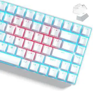 Womier Keycaps, Lusterfly Jelly Keycaps White 60 75 100 Percent, Crystal Shine Through Custom Key caps Set, 118 Keys OEM Profile for 61/68/84/87/98/100 Cherry Gateron MX Mechanical (Backlit White) Womier Keycaps, Lusterfly Jelly Keycaps White 60 75 100 Percent, Crystal Shine Through Custom Key caps Set, 118 Keys OEM Profile for 61/68/84/87/98/100 Cherry Gateron MX Mechanical (Backlit White)