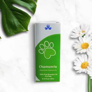 Pet Chamomile Essential Oil