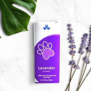Pet Lavender Essential Oil