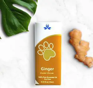 Pet Ginger Essential Oil