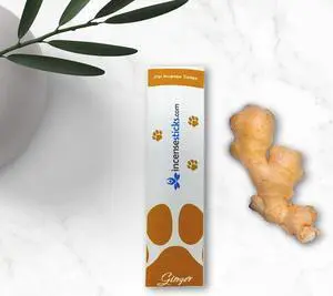 Pet Ginger Incense Sticks (2 Packs)