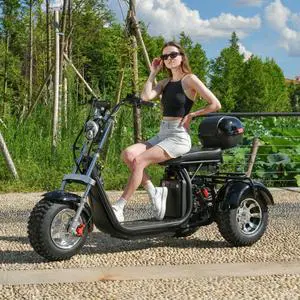 ehoodax Aldult Electric Tricycles 60V20AH 3000W Powerful Motor Max Speed 45KM/H Electric Scooter