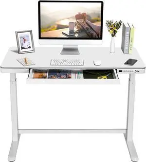 SANODESK Standing Desk with Drawer, Electric Height Adjustable Home Office Desk with Storage & USB Ports, 48 inch White Wood Tabletop/White Frame