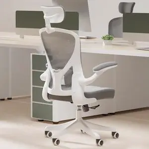 SICHY AGE Ergonomic Office Chair Home Desk Office Chair with Flip-Armrest & Cushion for Lumbar Support, high Back Computer Chair with Thickened Cushion Desk Chairs Gray, Welcome to consult