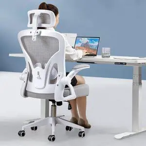 Darkecho Office Chair,Ergonomic Desk Chair with Adjustable Headrest and Lumbar Support,High Back Mesh Computer Chair with Padded Flip-up Armrests,Swivel Task Chair,Tilt Function,Grey Darkecho Office Chair,Ergonomic Desk Chair with Adjustable Headrest and Lumbar Support,High Back Mesh Computer Chair with Padded Flip-up Armrests,Swivel Task Chair,Tilt Function,Grey