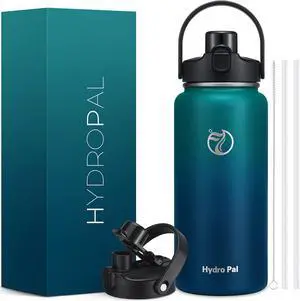 64oz Half Gallon Insulated Water Bottle with 2-in-1 Lid (Chug & Straw) Double Walled Vacuum Stainless Steel Water Bottles Wide Mouth Leakproof Insulated Jug with Straw