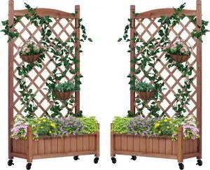 Raised Garden Bed with Trellies 2 Pack, Outdoor Wooden Planter Box for Climbing Plants, Vegetables Herb Growing
