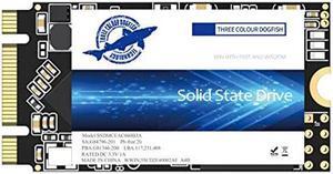 Dogfish SSD SATA M.2 2242 250GB Ngff Internal Solid State Drive High Performance Hard Drive Desktop Laptop SATA III 6Gb/s (M.2 2242, 250GB)