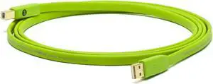 Neo by Oyaide d+ USB (Class B)  Hi-Speed and Durable Digital Cable for DJs, Musicians and Producers, Green