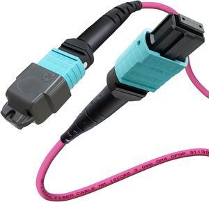 Banguptical 6ft OFNP MTP/MPO Fiber Cable 12 Strand Female, MTP to MTP OM4 Multimode Fiber Optic Ptach Cord, Type B Plenum MTP Jumpers