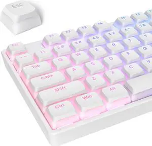 iRoboosta White Pudding PBT Keycaps, 117 Key XDA Profile Key caps, Custom Keyboard Keycap 75 Percent, Minimalist Key Cap Set for Cherry MX Swithes Mechanical Keyboard (White)