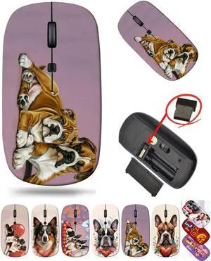 maizi Mac Wireless Mouse for PC Computer Chromebook Notebook, Mac Wireless Mice MKADAU Boxers Lightweight 2.4G with USB Receiver Product of USA