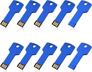 RAOYI 10 Pack 2GB USB Flash Drive USB 2.0 Metal Key Shape Memory Stick Thumb Drive Pen Drive-Blue