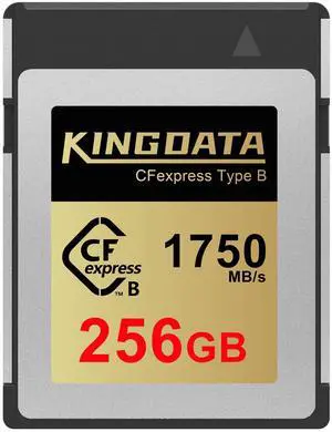 KINGDATA CFexpress Type B 256GB Memory Card, Up to 1750MB/s Read, RAW 8K Video and Photo, Memory Cards for Camera, Professional Photography