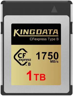 KINGDATA CFexpress Type B 1TB Memory Card, Up to 1750MB/s Read, RAW 8K Video and Photo, Memory Cards for Camera, Professional Photography
