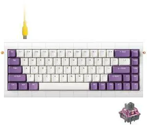 KBDcraft 02Lilith Q 65% 5.5deg Ergonomic Keyboard with OEM Keycap, Lego-Compatible Case, Gasket Mount, Wired, RGB, Hot-Swappable, Linear Switch, QMK, Vial for Win/Mac, Full Kit, White (Lilith Q 65%)
