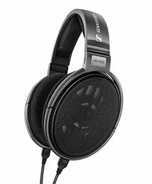 Sennheiser Consumer Audio HD 650 - Audiophile Hi-Res Open Back Dynamic Headphone, Titan
