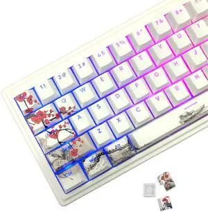 JSJT PBT Double Shot Shine Through Keycaps 129 Keys Plum Blossom Keycap Set,Dye-Sublimation Custom Key Cap Cherry Profile Keyboard Keycap Suitable for Cherry MX Switches Mechanical Keyboards