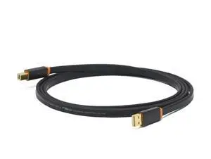 Neo by Oyaide Elec D + USB Class A Rev2 1.0 m USB Cable