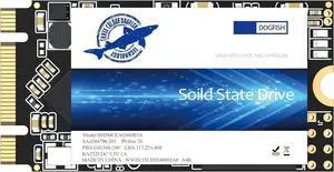 Dogfish SSD M.2 2242 250GB Unidad De Estado S?ido Incorporada Height PC Unit?a Stato Solido Integrata Interno MLC Desktop Laptop Hard Drive Disk m2(M.2 2242 250GB)