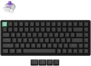 Keychron K2 HE QMK Wireless Gaming Custom Mechanical Keyboard, 2.4 GHz/Bluetooth/Wired 96% Layout Hot-Swappable Programmable RGB Backlit Gateron Magnetic Switches for Mac Windows Black