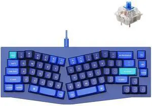 Keychron Q8 Wired Custom Mechanical Keyboard, 65% Alice Layout QMK/VIA Programmable with Hot-swappable Gateron G Pro Blue Switch Double Gasket Compatible with Mac Windows Linux (Blue)