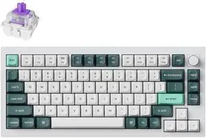 Keychron Q1 HE QMK Rapid Trigger Wireless Custom Mechanical Keyboard, 2.4 GHz/Bluetooth/Wired 75% Hot-Swappable Programmable RGB Gateron Double-Rail Magnetic Switches for Mac Windows, Shell White