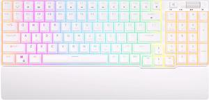 RK ROYAL KLUDGE RK96 RGB Limited Ed 90% 96 Keys Wireless Triple Mode BT5.0/2.4G/USB-C Hot Swappable Mechanical Keyboard with Wrist Rest Software Support & Massive Battery
