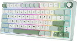 RK Royal Kludge R75 Gasket Wired Mechanical Keyboard 80 Key 80% RGB Backlit Hot-swappable Gamer Kevboard with MDA PBT Keycaps RK Snow