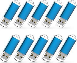 RAOYI 10 Pack 2G 2GB USB Flash Drive USB 2.0 Memory Stick Thumb Drive Pen Drive Blue