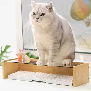 Clear Glass Monitor Stand Keyboard Cover - Keyboard Protector Anti-Cat Prevent Cats from Touching Keyboard Bamboo Stand (L 19.1 * 6.5 * 4.33")